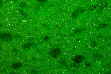 green sponge