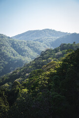 Fototapeta na wymiar Rainforest lush green hills rolling with afternoon light rays