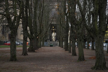 walking in the park