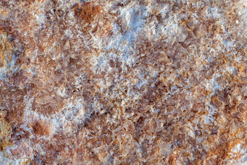 Texture of old gray concrete wall for background.selective focus.