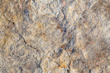 Texture of old gray concrete wall for background.selective focus.