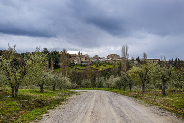 Fototapeta na wymiar Paysage rural de la région Toscane en Italie