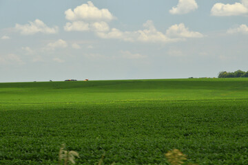 soy plantation devastating the cerrado