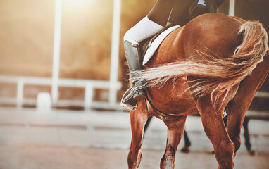 On a sorrel horse with a long curly tail, a rider sits in the saddle, illuminated by sunlight....