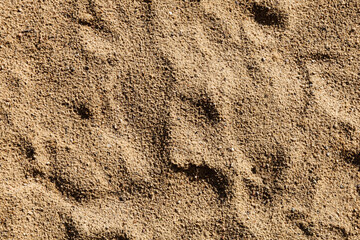 Tekstura piachu na plaży