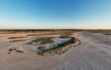 Sandy swamp with large patches of grass and bushes