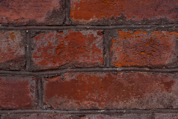 Fototapeta premium old brick textured wall background - close up, scratched surface