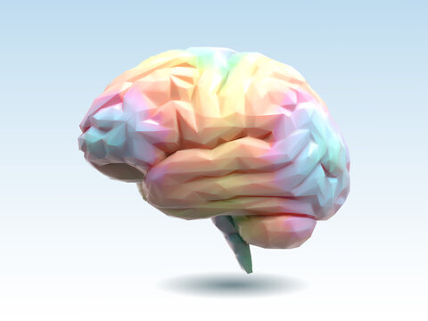 Colorful Polygonal 3D Brain Vector Illustration On White BG