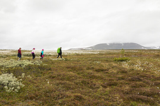 Girls with parent hiking through meadow