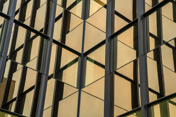 glass windows of a skyscraper