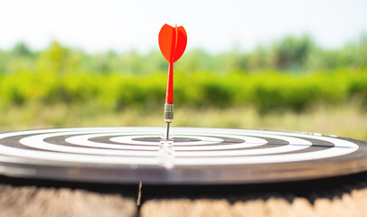 A dart board on a wooden table with a red dart pin in the center. Concept of holding goals,...