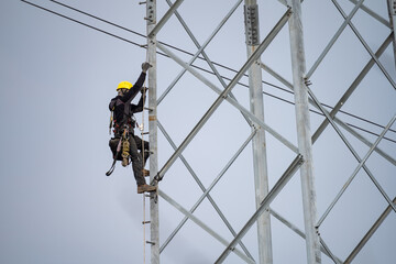 Neue Kabel am Strommast