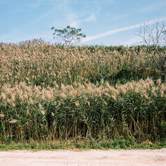 Obraz premium Higgs Beach New Jersey 3