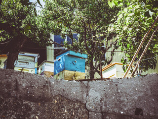 Wooden beehives with bees near a rural house located on a hillock filled with concrete