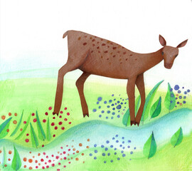 a deer standing by the brook on a flowery spring meadow 