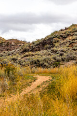 Fall in the badlands. Midland Provincial Park, Alberta, Canada