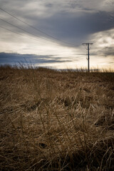 Fototapeta premium fence