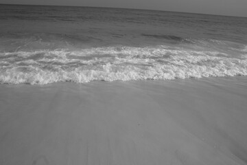 waves on the beach black and white