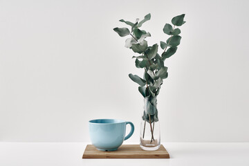 A vase with eucalyptus and a mug stand on a wooden stand on a white background. Minimalism, eco-materials in the interior decor. Copy space, mock up.