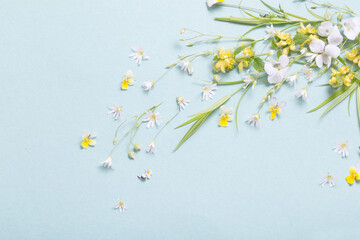 wild flowers on paper background