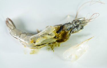 Cut the white shrimp shell, see the gut of the white shrimp (L. vannamei).