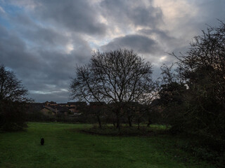 END OF THE DAY IN THE PARK