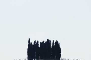 Tuscany landscape view , Italy