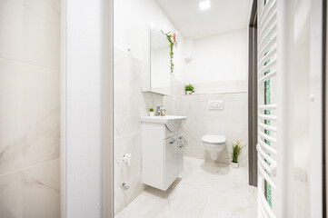 Naklejka na ściany i meble A renovated bathroom in a flat.