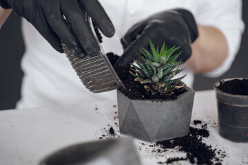 Man works with a cement. Concrete cement grey pot. Hand made concrete planters for succulents and...