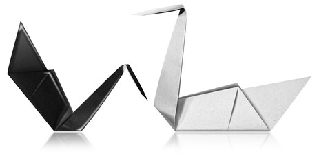 One black and one white paper swan, origami isolated on white background with reflections,...