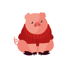 christmas, pig with sweater animal celebration
