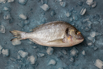 Raw dorado or sea bream on ice. Cooking. Healthy eating. Diet.