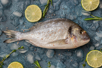 Raw dorado or sea bream on ice. Cooking. Healthy eating. Diet.