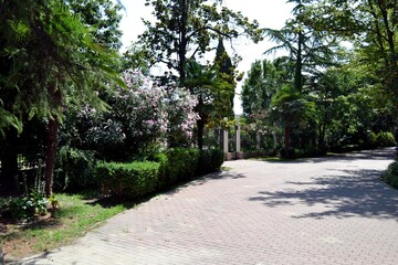 Fototapeta premium path in the park