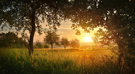 Fototapeta na wymiar Sunrise in summer countryside