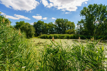 Naturschutzgebiet Haselbacher Teiche bei Haselbach, Landkreis Altenburger Land, Thüringen, Deutschland