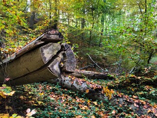national park landscape