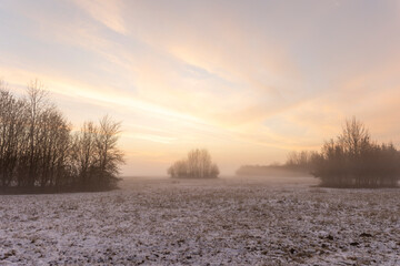 Sunrise over snowy meadow behind bush with ground fog in winter