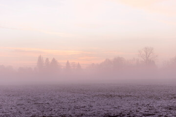 Fototapeta premium Sunrise over snow covered meadow with ground fog in winter