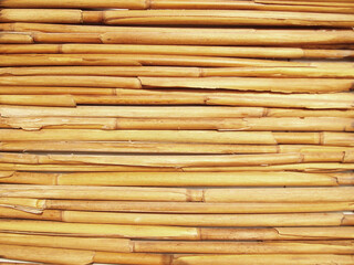 dry cane, texture for natural beige background