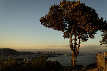 Obraz premium Rio de Janeiro from Urca Hill at Sunset below a Tree