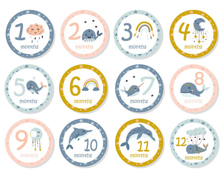 Monthly baby stickers with cute whales