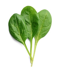 Spinach leaves