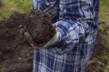 A woman holds a lump of earth planting the plant 