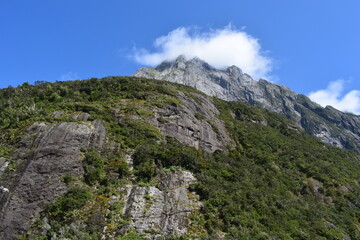 Incredible views in Milford Sounds (New Zealand)