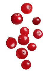 Fresh red cranberries falling on white background