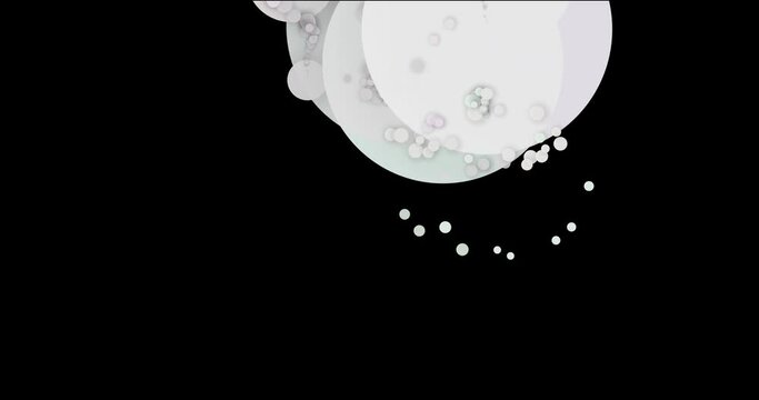 Big and small abstract cirles as particles in liquid simulation. Fluid organic footage with small and big elements as drop and bubble in balck environment. Abstract falt background in white and black