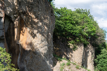 Overgrown edge of a cliff at Stenzelberg.