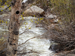 A Winter Day Hike Through The Mountains 