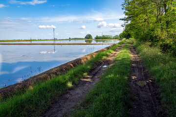 Campagna Novarese